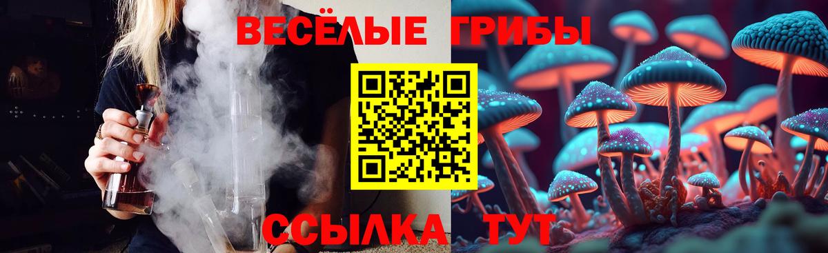 Галлюциногенные грибы GOLDEN TEACHER  Вход с VPN  Псилоцибиновые грибы MAGIC MUSHROOMS  Майкоп 